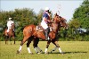 UKPA NC SAT_2175